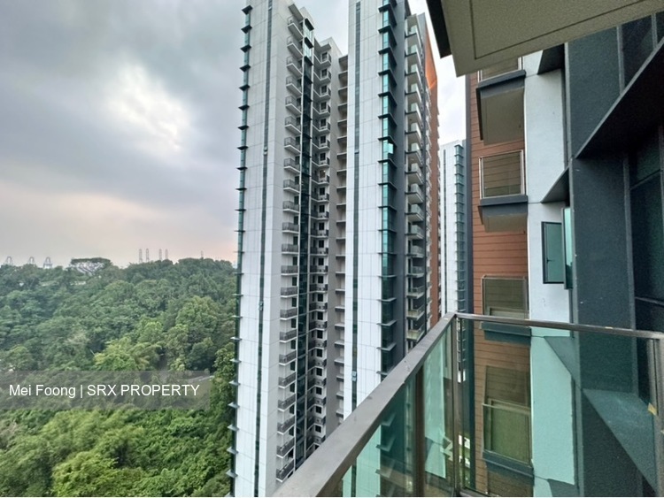 Normanton Park (D5), Apartment #461003661